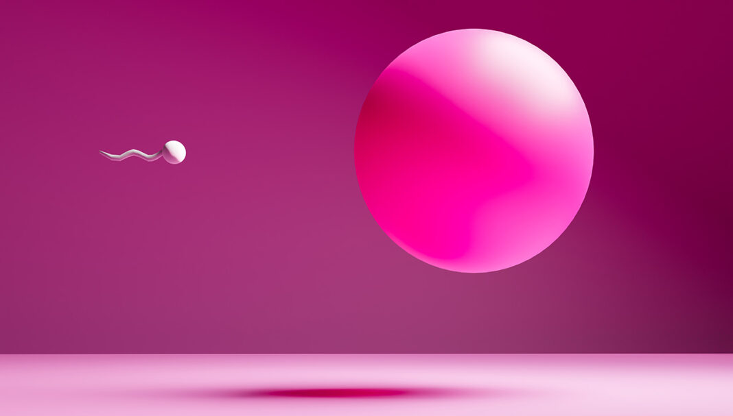 cpd-contraceptive-pill-feature Knowledge of the differences between various preparations of combined oral contraceptive pill can help pharmacists guide women in their use