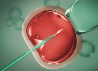 Medicines used for in-vitro fertilisation (IVF)