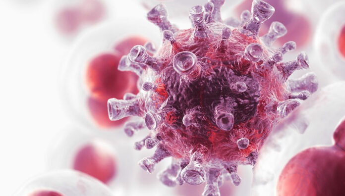 cpd-chronic-lymphocytic-leukaemia-feature