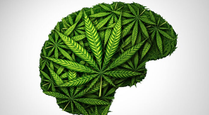 Cannabis drug interactions