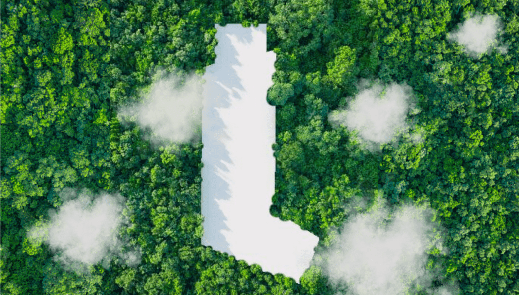 Untitled design (16)