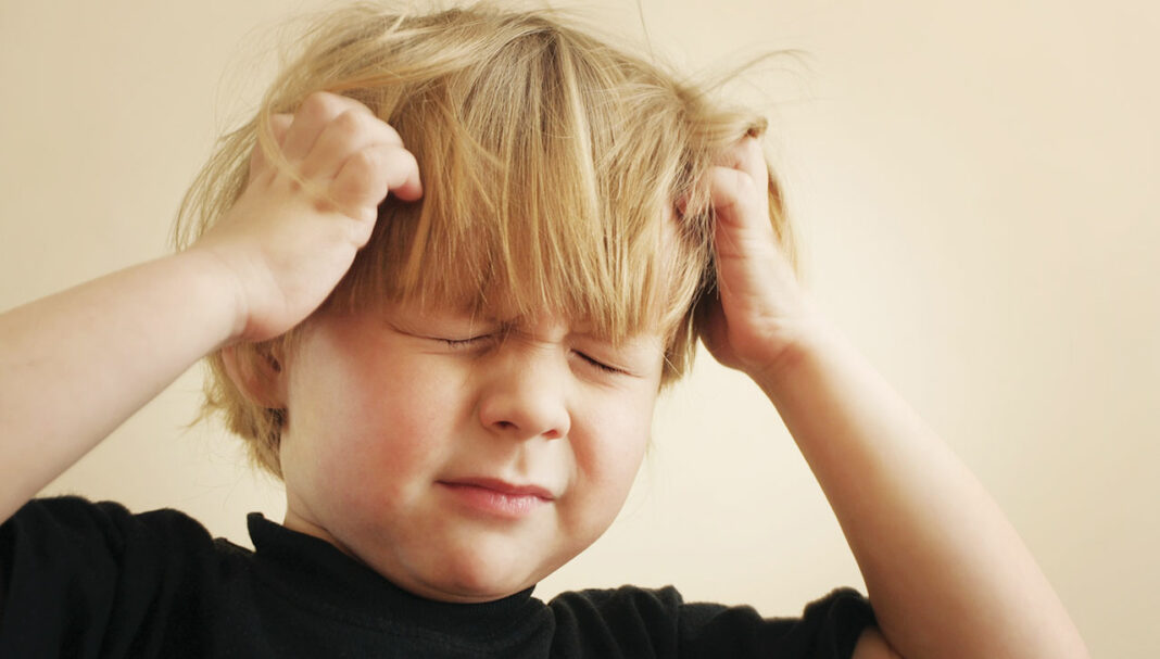 cpd-head-lice-feature