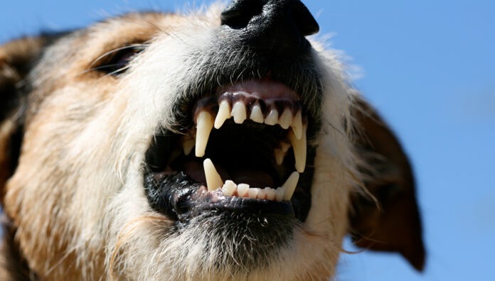 GettyImages-157330023