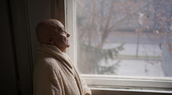 Probiotics for ‘chemo brain’