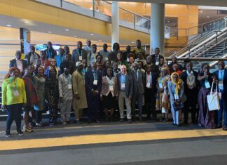 Highlights from the FIP 2023 Congress