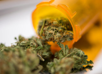 Green light for medicinal cannabis