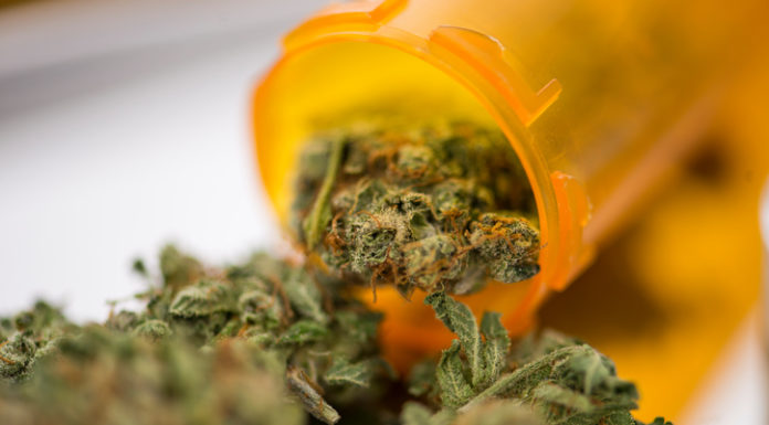 Green light for medicinal cannabis