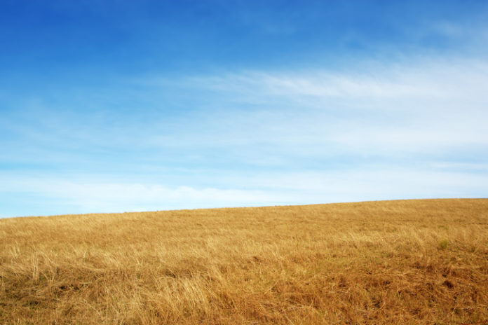 rural pharmacy rural pharmacy