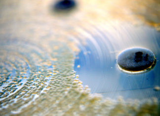 Resistance movement: Pharmacy’s fight against antimicrobial resistance Antimicrobial resistance