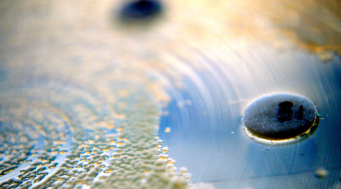 Resistance movement: Pharmacy’s fight against antimicrobial resistance Antimicrobial resistance