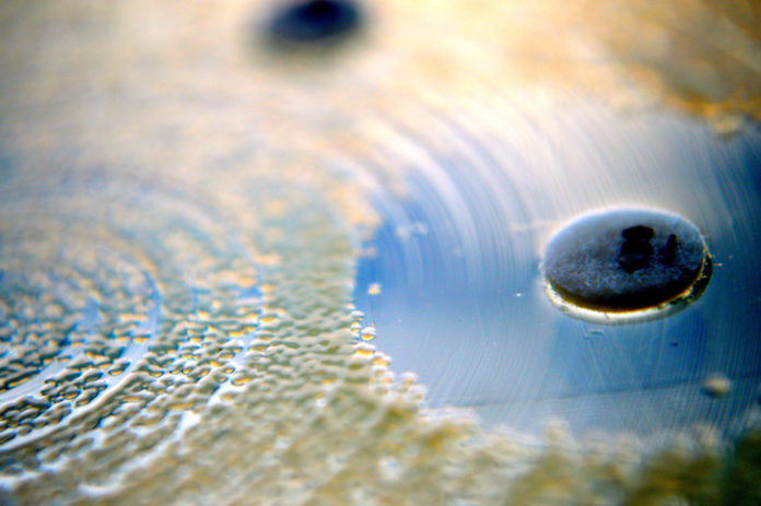 Antimicrobial resistance Antimicrobial resistance