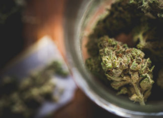 Medicinal cannabis: An update from the regulators