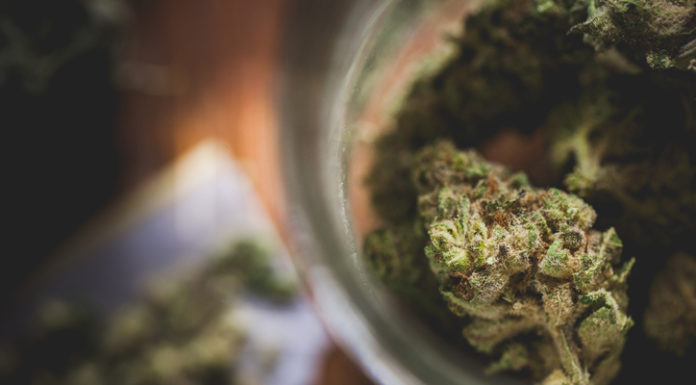 Medicinal cannabis: An update from the regulators