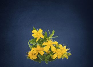 Depression and complementary medicines