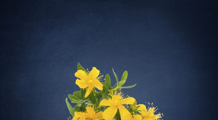 Depression and complementary medicines