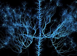 Anticonvulsants shown not to provide low back pain benefits