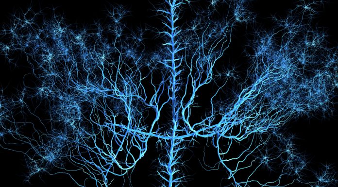 Anticonvulsants shown not to provide low back pain benefits