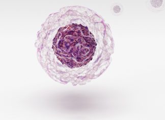 Verapamil for type 1 diabetes