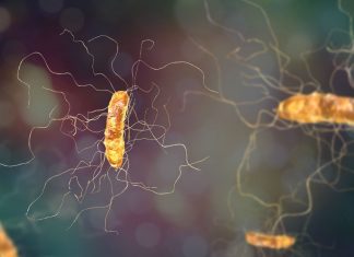 Antibiotic resistance knowledge improving, but more to be done Antibiotic Resistance