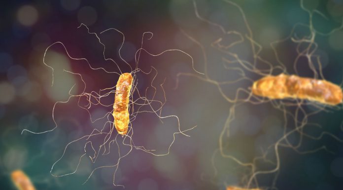 Antibiotic resistance knowledge improving, but more to be done Antibiotic Resistance