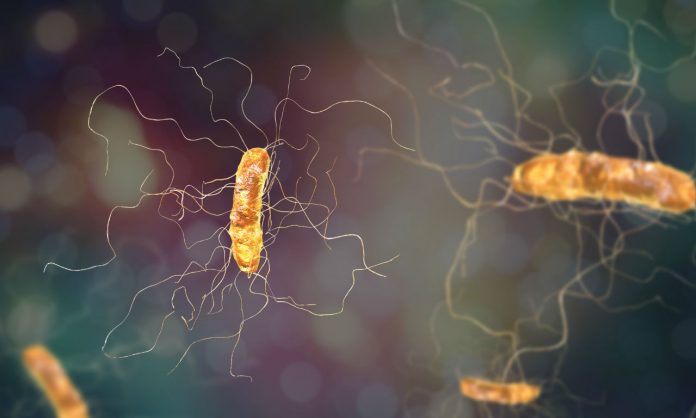 WEB_Antibiotic Resistance Antibiotic Resistance