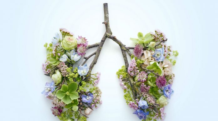 Hay fever affects sleep, relationships and careers — so why don’t sufferers seek help?