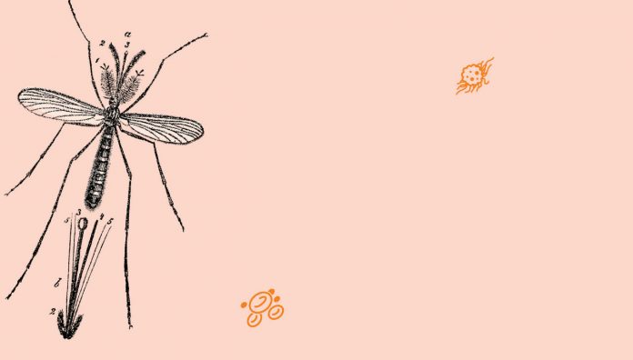 90-92 elixir Quinine