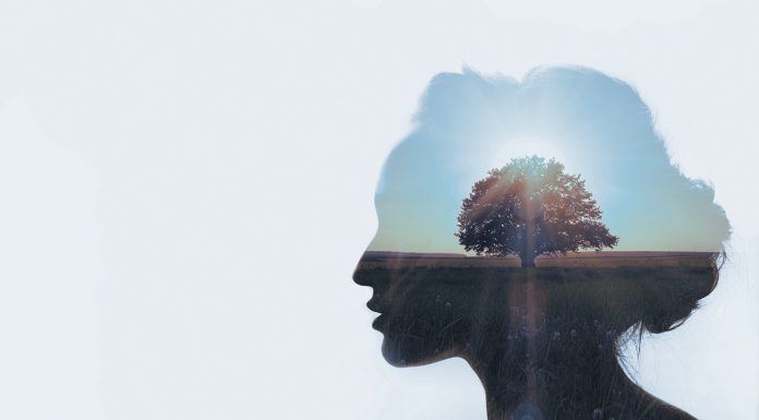 A fair day’s pharmacy – your rights and obligations employment fundamentals