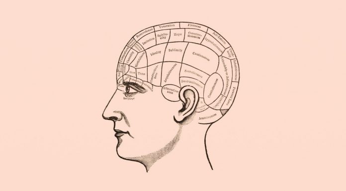 The history of cocaine drug