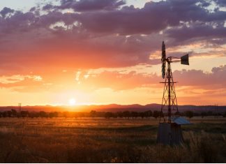 Pharmacists need support to deliver drug and alcohol treatment drug and alcohol