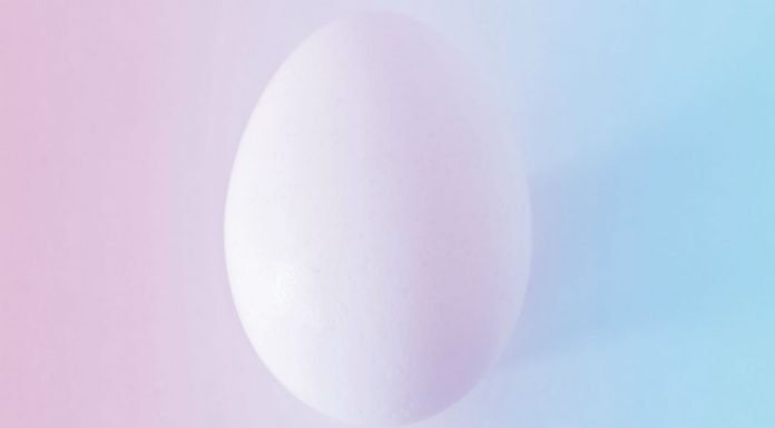 Pharmacy and medical termination of pregnancy pregnancy