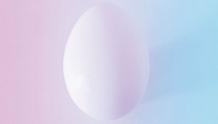 22-27_2MS2Step pregnancy