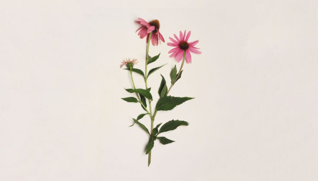 16-17_ChoosingWisely Complementary medicines