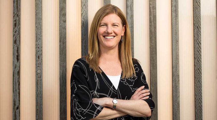 The mental health researcher mental health