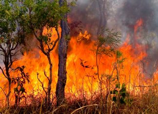 Catastrophic fire ratings highlight need for better emergency dispensing provisions