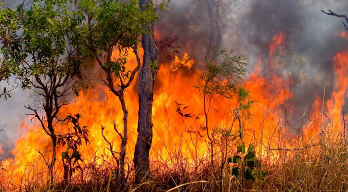 Catastrophic fire ratings highlight need for better emergency dispensing provisions