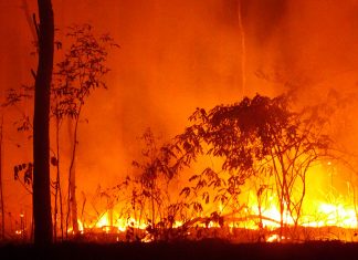 RACGP on dispensing during disasters