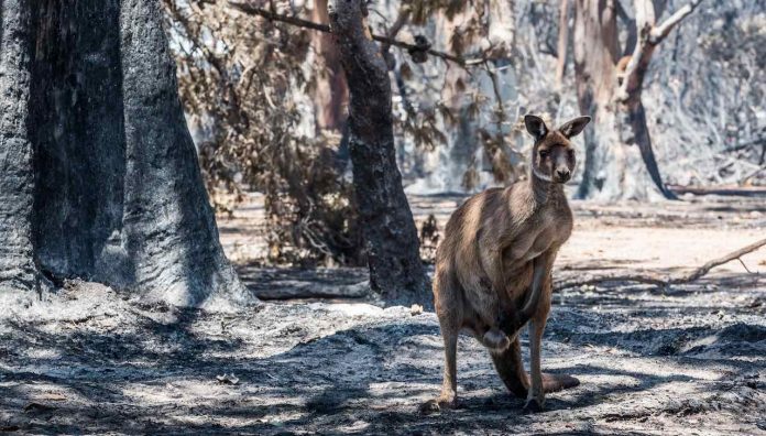 Photo: Sean McGowan Photo: Sean McGowan