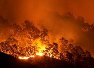 Bushfire update and emergency dispensing provisions Bushfire at night
