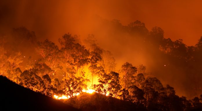 Bushfire update and emergency dispensing provisions Bushfire at night
