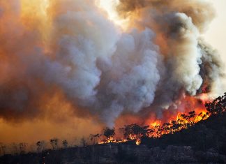 Roles for pharmacists in disasters