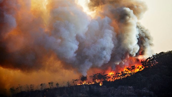 Roles-for-pharmacists-disasters-feature