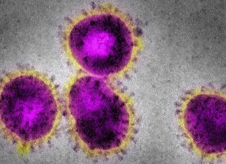 Coronavirus: Australia ‘alert but not alarmed’