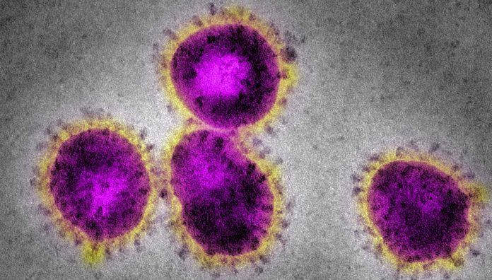 australia-on-alert-for-novel-coronavirus-feature