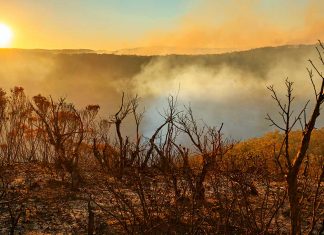 Bushfire crisis brings out the best in pharmacists bushfires