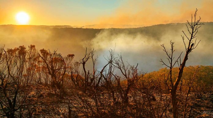 Bushfire crisis brings out the best in pharmacists bushfires