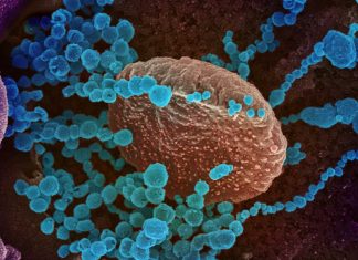 Government prepares with COVID-19 pandemic plan