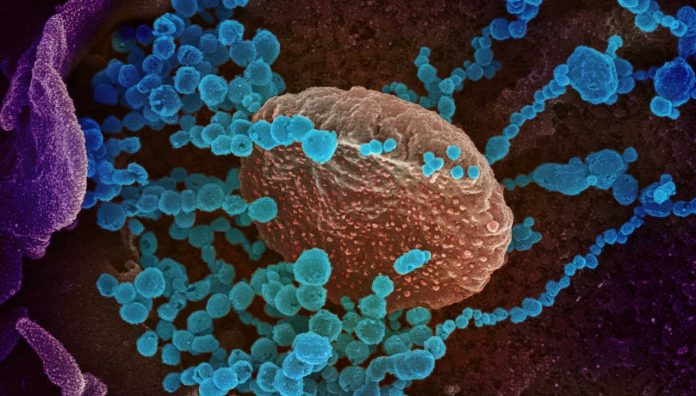 Government-prepares-with-COVID-19-pandemic-plan-feature