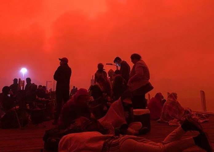 Mallacoota-fires-Nicola-Brown-feature