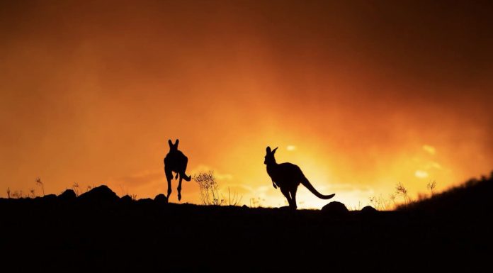 The impact of air pollution